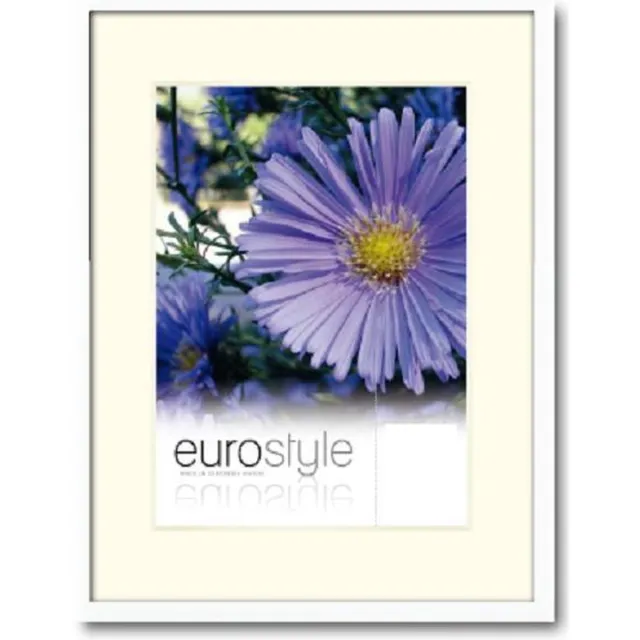 Defotolijstenspecialist DFS Aluminium Fotolijst Es Wit 21x29.7 cm