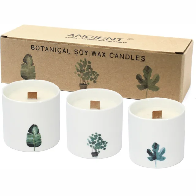 Ancient Wisdom Set Grote Botanische Geurkaarsen - Soy Wax - Victoriaanse Pioenroos - Keramieke Potten multicolor