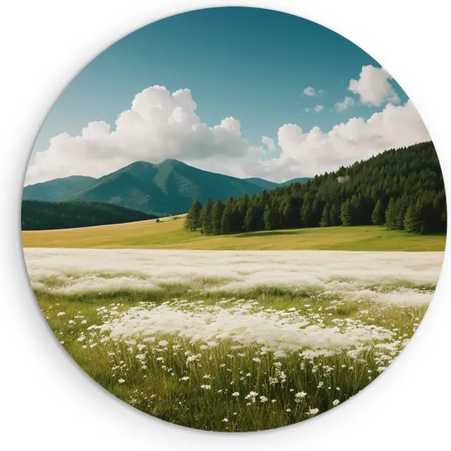 Saammp Forex Muurcirkel - Landschap - Witte bloemenveld met naaldbomen - Natuur - Ø 30 - Wandcirkel - Wanddecoratie Cirkel - Muurdecoratie Woonkamer - Slaapkamer decoratie - Rond Schilderij