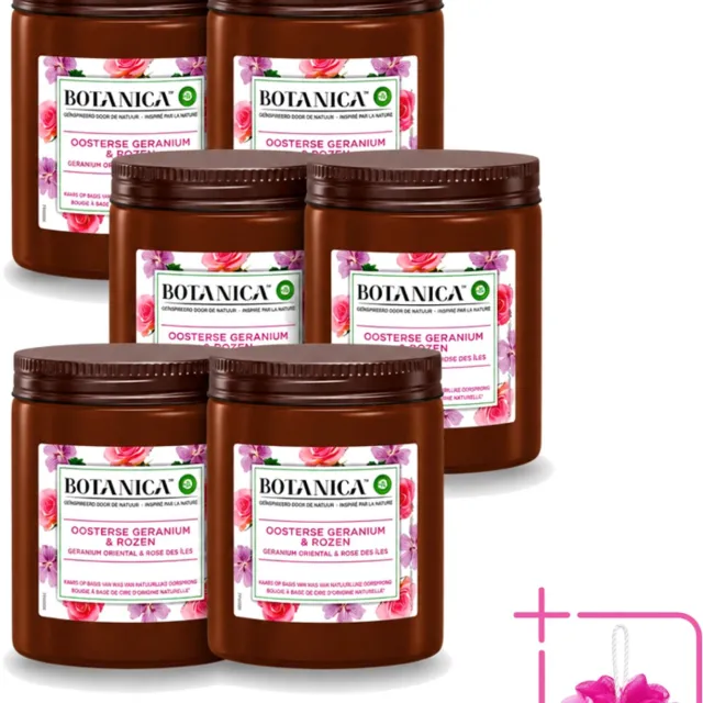 Air Wick 6 x Botanica by Air Wick - Geurkaars - Geranium & Rozen - 40 Uur Brandduur - Bulkverpakking - Geurkaars - Douchemop - Geranium en rozen Wit