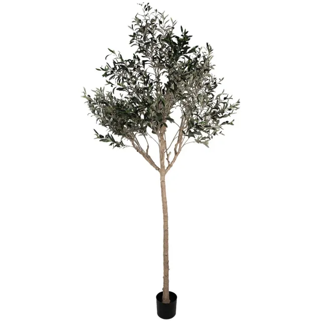 Clayre & Eef Kunst Olijfboom 240 cm Groen Kunststof