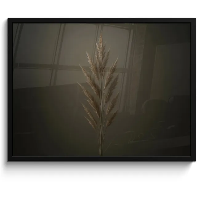 FrameYourWall Poster in lijst - Fotolijst 70x50 cm - Posters - Tak - Pluimgras - Donkerbruin - Posterlijst zwart - Decoratie - Wanddecoratie woonkamer - Muurdecoratie slaapkamer