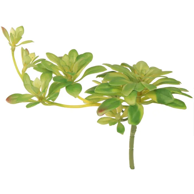 Viana Succulente kunstplant met steker Aeonium Groen 30cm 4 st., 4 Stück groente