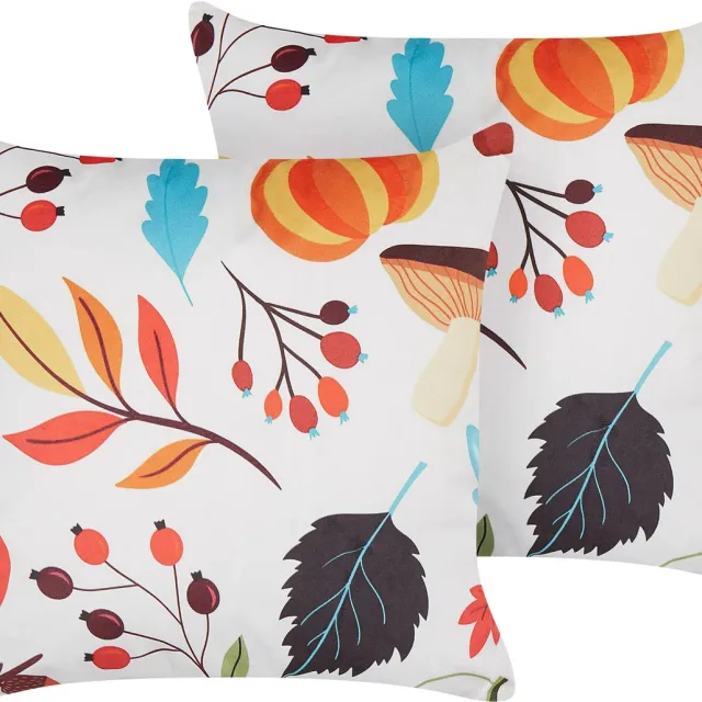 Beliani VISCARIA - Sierkussen set van 2 - Multicolor - 45 x 45 cm - Fluweel Meerkleurig