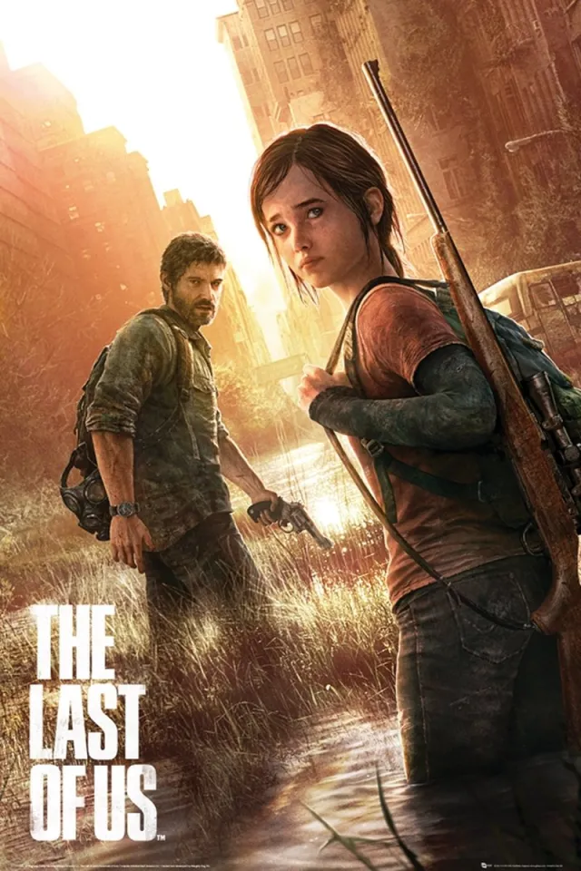 Hole in the Wall The Last Of Us Poster 61x91.5cm Zwart