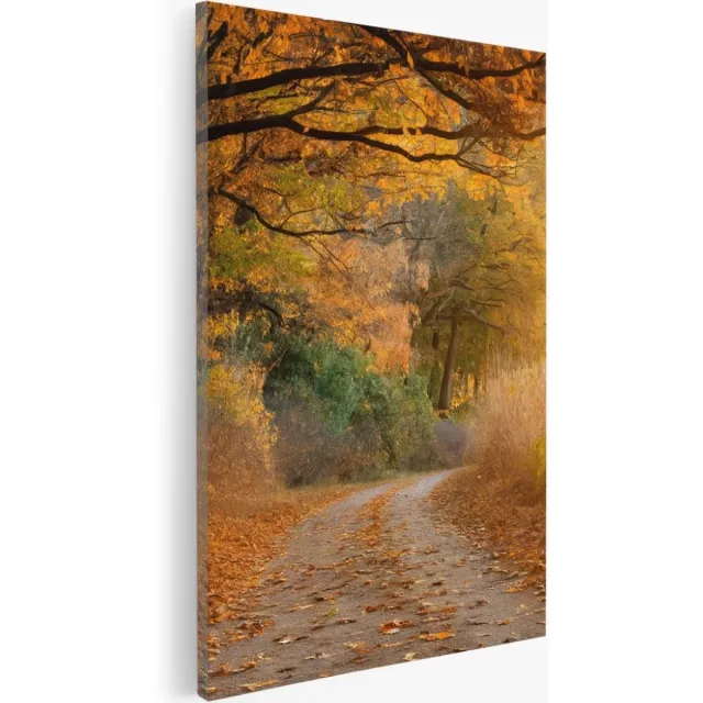 Saammp Canvas Schilderij - Weg door het bos - Herfst - Landschap - Natuur - 75x100 - Foto op canvas - Wanddecoratie - Muurdecoratie Woonkamer - Slaapkamer decoratie - Canvas Print Multicolor