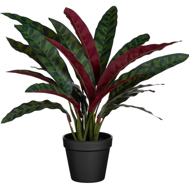 Mica Decorations kunstplant Calathea Groen