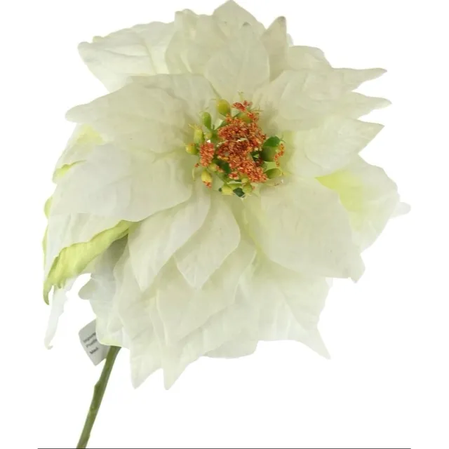 Gasper CREATIV home Kerstster-poinsettia Velvet wit 53 cm