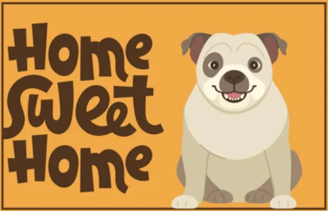 Joy @ Mat JoY@Mat Luxe indoor mat - Deurmat - Schoonloopmat - Droogloopmat - HSH Bulldog - 40cmx60cm - Polyamide geel