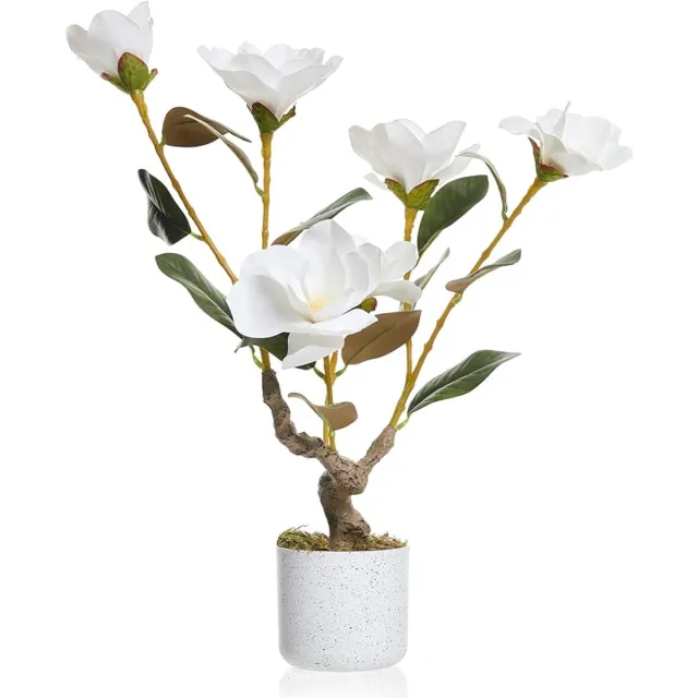 HOERFURIY Kunstmagnolia 60cm PEVA - Witte Bloemen - Woonkamer