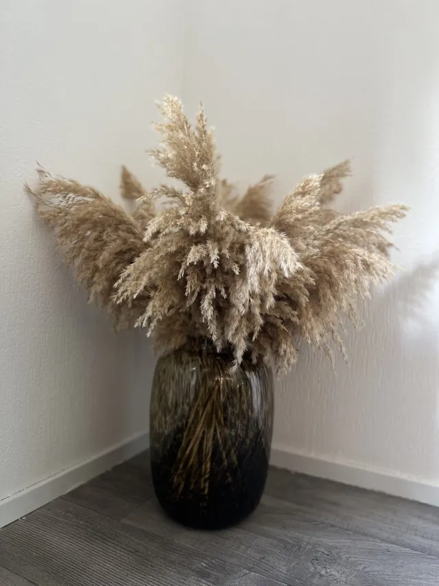 HoA Creative Pampas pluimen | 20 stuks | Pampasgras | Droogbloemen | 100 cm| Boeket decoratie pluimen | Luxury Living | Rietpluimen naturel