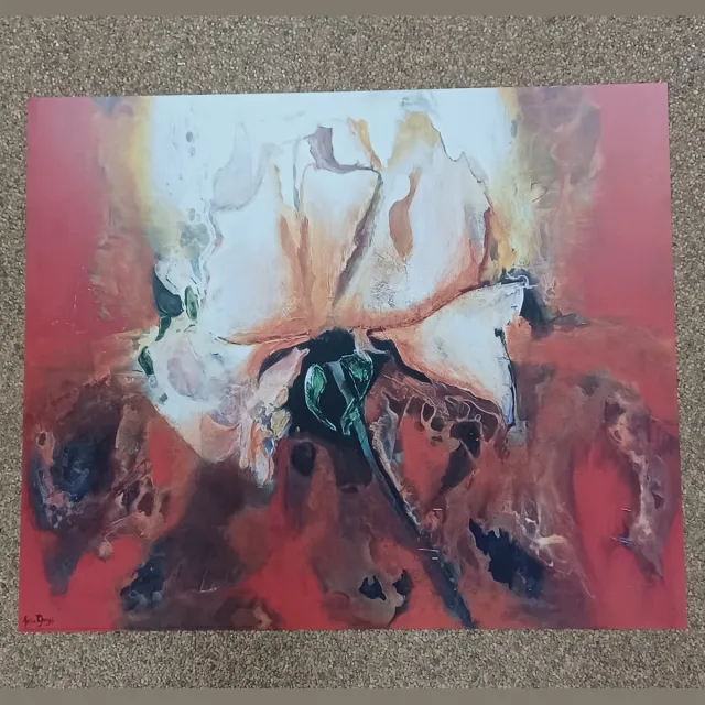 Verkerke poster Verkerke Anita Duijf - Roos van vuur en ijs 60 x 50 cm diverse kleuren
