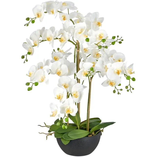 Kopu Kunstorchidee 80 cm - Wit - Zwarte schaal - Phalaenopsis