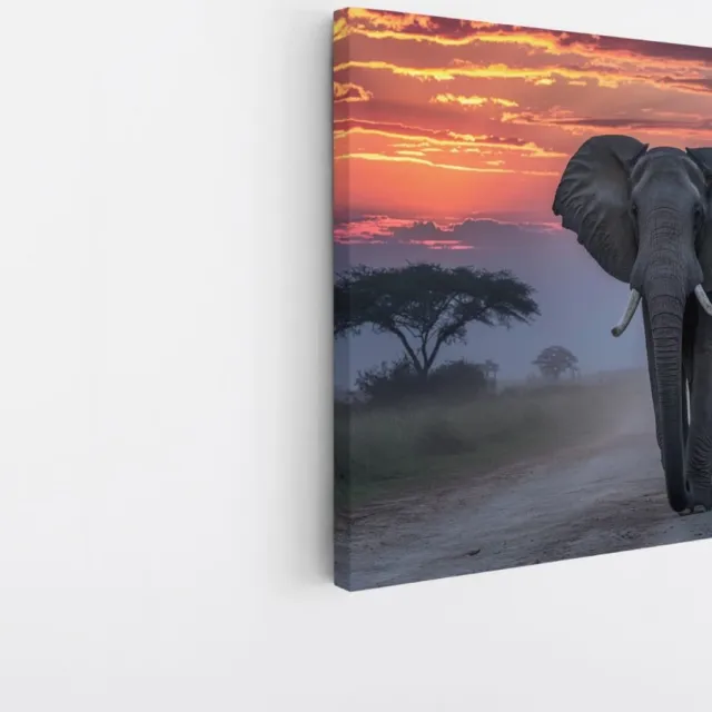 Saammp Canvas Schilderij - Olifant in de Serangeti in de zonsondergang- Natuur - Dieren - 20x20 - Foto op canvas - Wanddecoratie - Muurdecoratie Woonkamer - Slaapkamer decoratie - Canvas Print Multicolor