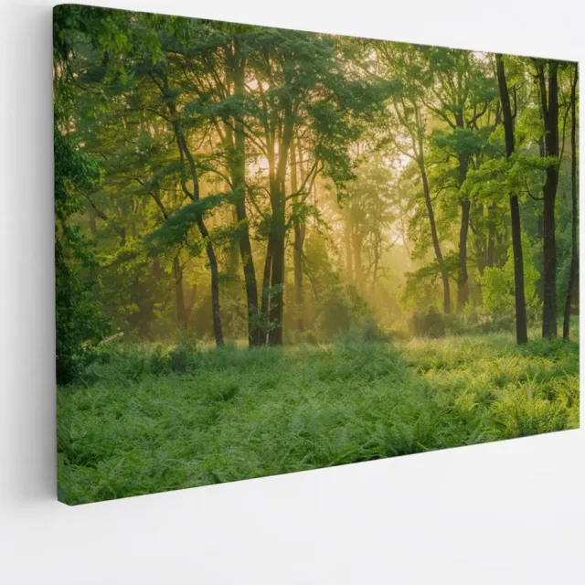Saammp Canvas Schilderij - bos - Grote Bomen - Landschap - Natuur - 120x80 - Foto op canvas - Wanddecoratie - Muurdecoratie Woonkamer - Slaapkamer decoratie - Canvas Print Multicolor