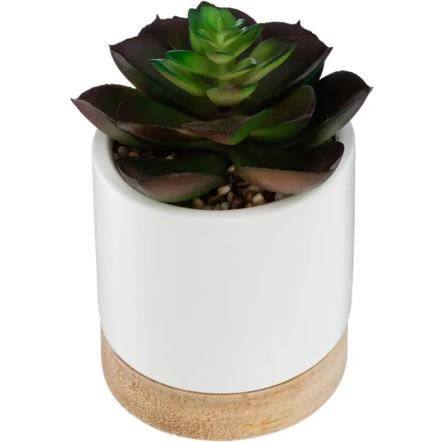 Atmosphera Créateur d'intérieur® Kunstmatige vetplant ARTY Vert foncé