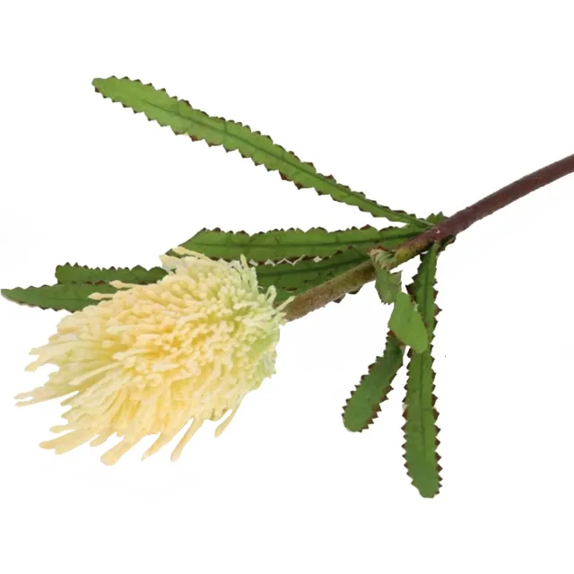 Globalgiftshop Steelbloem / kunstbloemTropische Bloem Banksia geel 68 cm