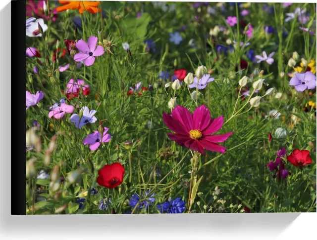 KuijsFotoprint Canvas - Velt met Bloemen in alle Kleuren - 40x30cm Foto op Canvas Schilderij (Wanddecoratie op Canvas) Groen