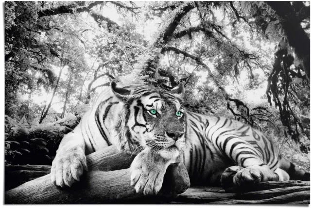 Reinders Poster Tiger is watching you - 61 x 91,5 - Papier - REINDERS