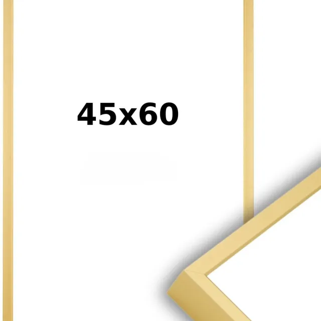 Lichtendonk Aluminium Wissellijst 45 x 60 Mat Champagne Goud - Helder Glas - Professional