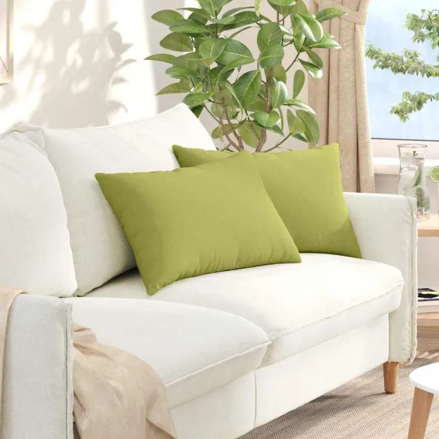 vidaXL Sofa Kussens 2 st Stof Lichtgroen 60 x 40 cm