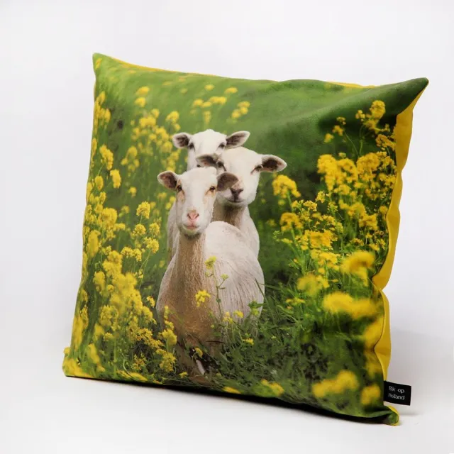 Hugs Sierkussen - Indoor Lammetjes - Multicolor - 50 Cm X 50 Cm geel