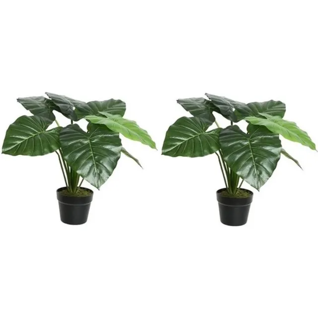 Shoppartners 2x Groene Colocasia/taro kunstplant 52 cm in zwarte pot - Kunstplanten/nepplanten - Kantoorplanten