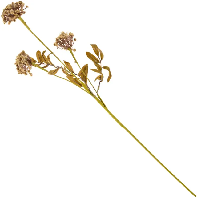 homebound by ky Veldboeket skimmia 80cm beige