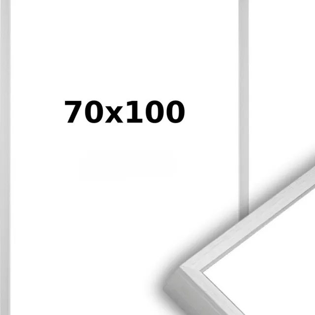 Lichtendonk Aluminium Wissellijst 70 x 100 Matzilver - Ontspiegeld Acrylite - Professional