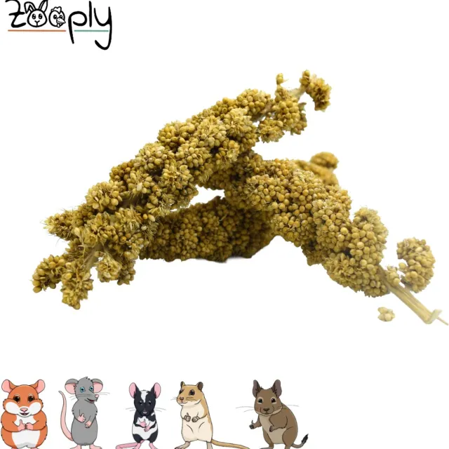 Zooply Trostgierst stukjes - 100 gram - in koker