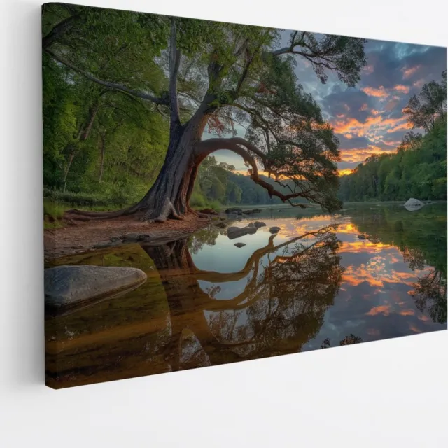 Saammp Canvas Schilderij - Scheve Boom met zonsondergang - Bloemen - Landschap - Natuur - 45x30 - Foto op canvas - Wanddecoratie - Muurdecoratie Woonkamer - Slaapkamer decoratie - Canvas Print Multicolor