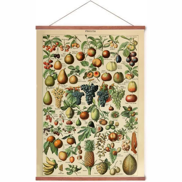 Esque Poster In Posterhanger - Vintage Fruit - Kader Hout - Groenten en Planten - Botanisch - 70x50 cm - Ophangsysteem Vintage Fruit met posterhanger