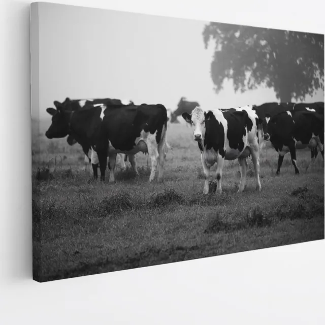 Saammp Canvas Schilderij - Koeien in wei - Natuur - Dieren - 70x50 - Foto op canvas - Wanddecoratie - Muurdecoratie Woonkamer - Slaapkamer decoratie - Canvas Print Multicolor