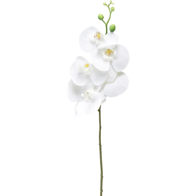 Flor und Decor Witte kunstorchidee Phalaenopsis Real Touch 85cm