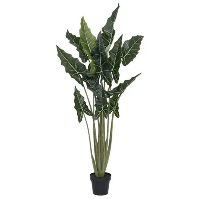Pottery Pots Kunstplant - Alocasia taro L - H160cm - Indoor - Green