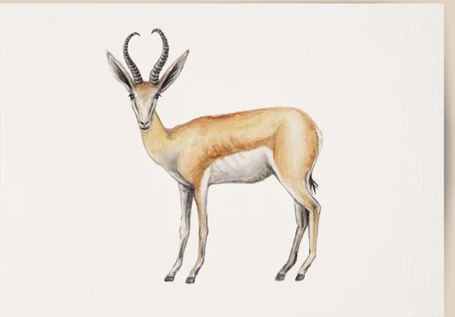 World of Mies poster springbok - A4 - mooi dik papier - Binnen 24 uur verzonden! tropisch - jungle - dieren in aquarel - geschilderd door Mies