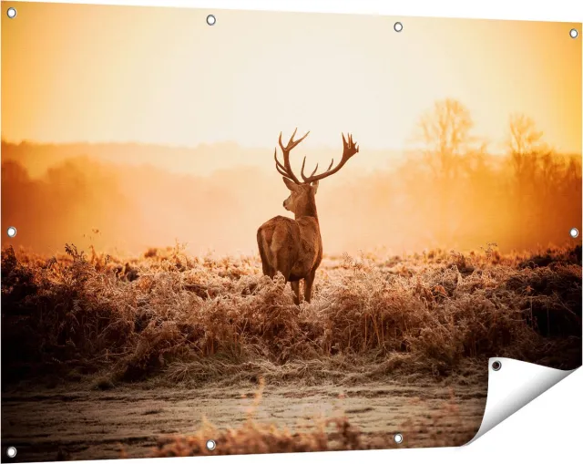 Gards Tuinposter Hert in de Wei tijdens de Zonsopkomst - 120x80 cm - Tuindoek - Tuindecoratie - Wanddecoratie buiten - Tuinschilderij Multikleur