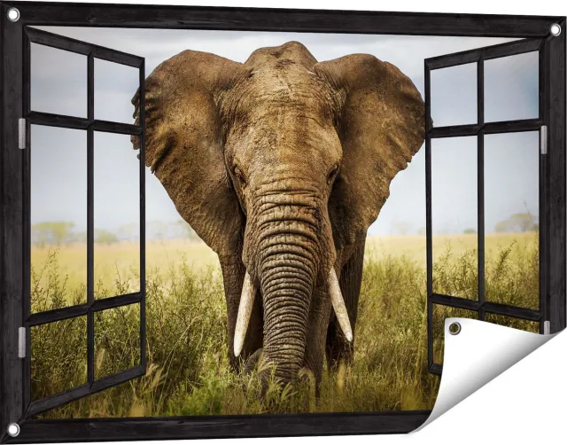 Gards Tuinposter Doorkijk Olifant in het Wild - Kleur - 90x60 cm - Tuindoek - Tuindecoratie - Wanddecoratie buiten - Tuinschilderij Zwart