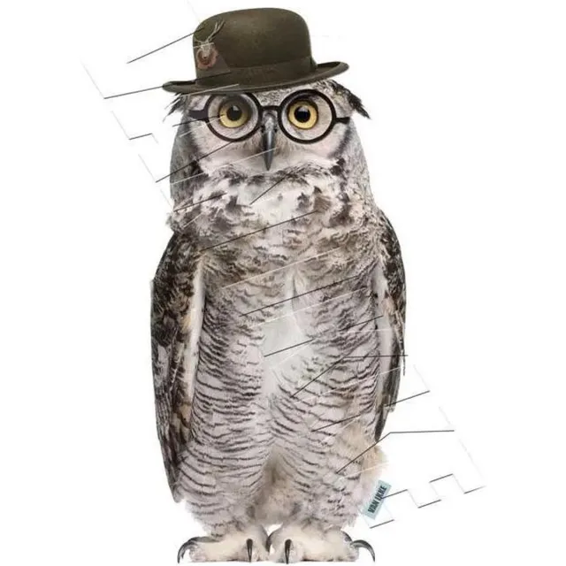 VAN IKKE Muursticker Mr. Uil multi