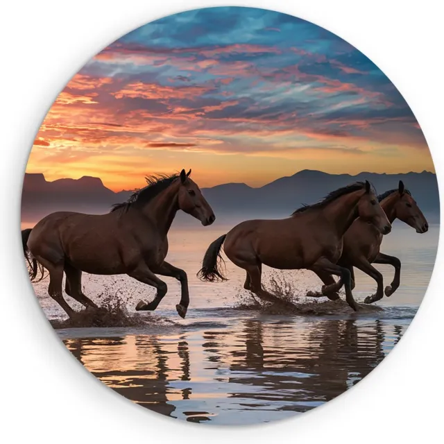 Saammp Muurcirkel Hout -Groep paarden In het water tijdens zonsondergang- Dieren - Natuur - Ø 30 - Wandcirkel - Wanddecoratie Cirkel - muurdecoratie Woonkamer - Slaapkamer decoratie - Rond Schilderij