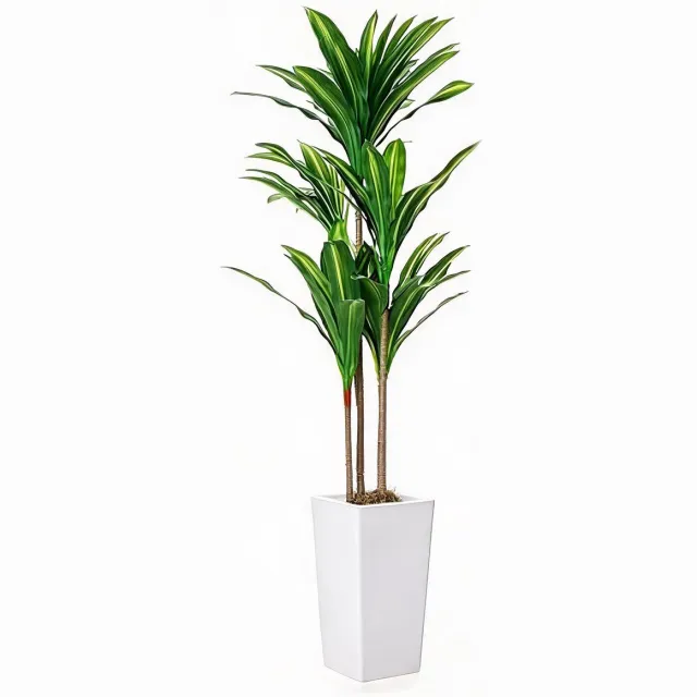 Triumpunpre Nep Braziliaanse Boom 4.8FT - Dracaena Fragrans Met Hoge Witte Pot en Cementbasis groen