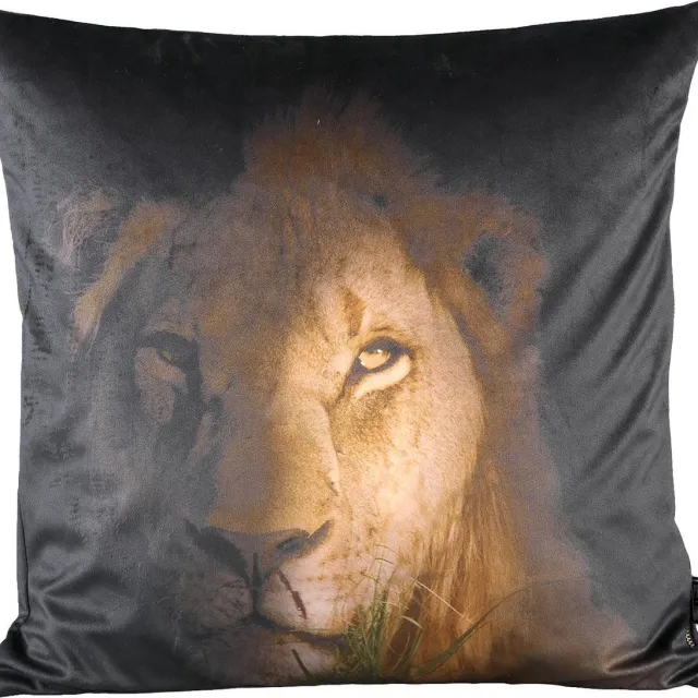 PTMD COLLECTION PTMD Raf Vierkant Kussen Leeuw - 45 x 10 x 45 cm - Velvet - Bruin