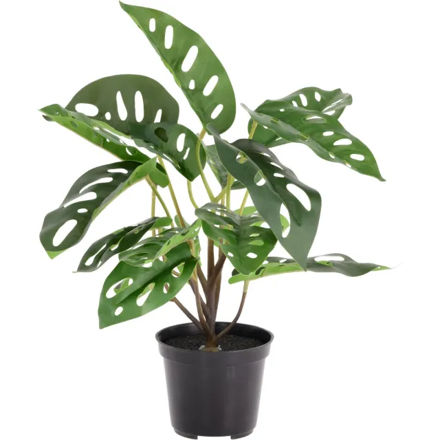 maxifleur Kunstplanten Monstera Adansonii kunstplant 30cm in kweekpot Groen