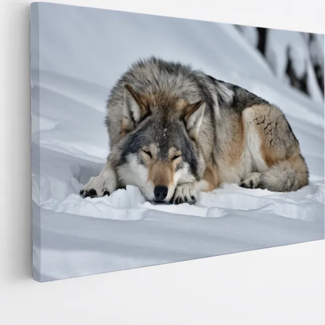 Saammp Canvas Schilderij - Wolf in de sneeuw - Dieren - Natuur - 150x100 - Foto op canvas - Wanddecoratie - muurdecoratie Woonkamer - Slaapkamer decoratie - Canvas Print Multicolor
