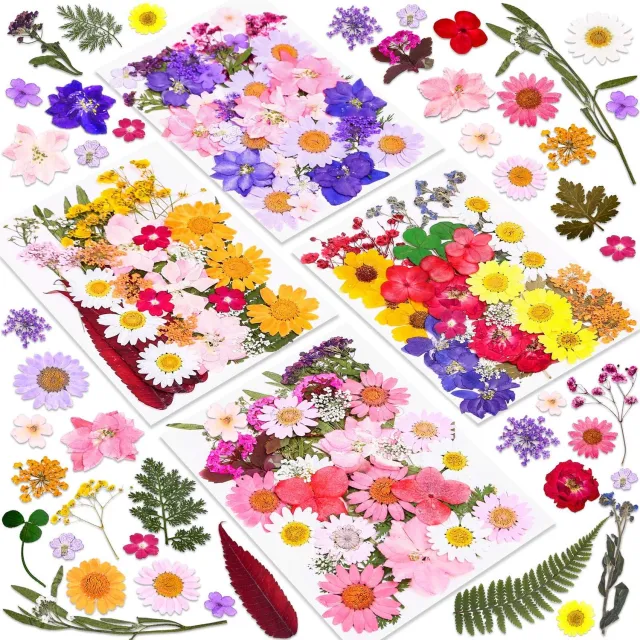 Famanu Set van 140 gedroogde geperste bloemen en bladeren voor knutselen en epoxyhars