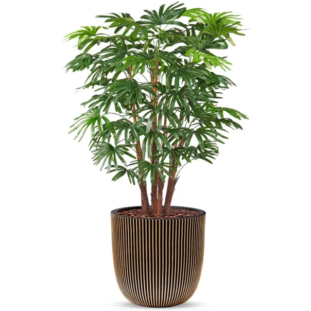 HTT Decorations Kunstplant Fortunei palm in Planter Ball groove zwartgoud H125 cm