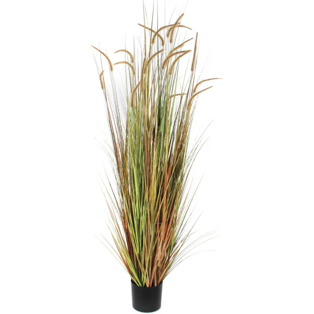Mica Decorations Pluimgras Dogtail Kunstplant - H180 x Ø85 cm - Groen