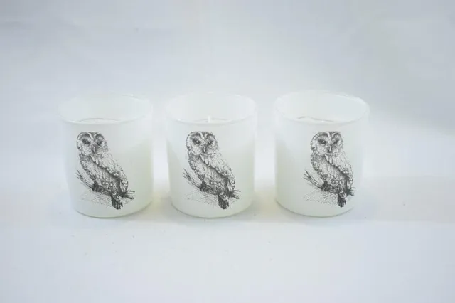 ZoeZo Design 6 stuks - Waxinelichtjeshouder - met Bolsius kaars - wit - glas - uil - H8 x Ø 7 cm