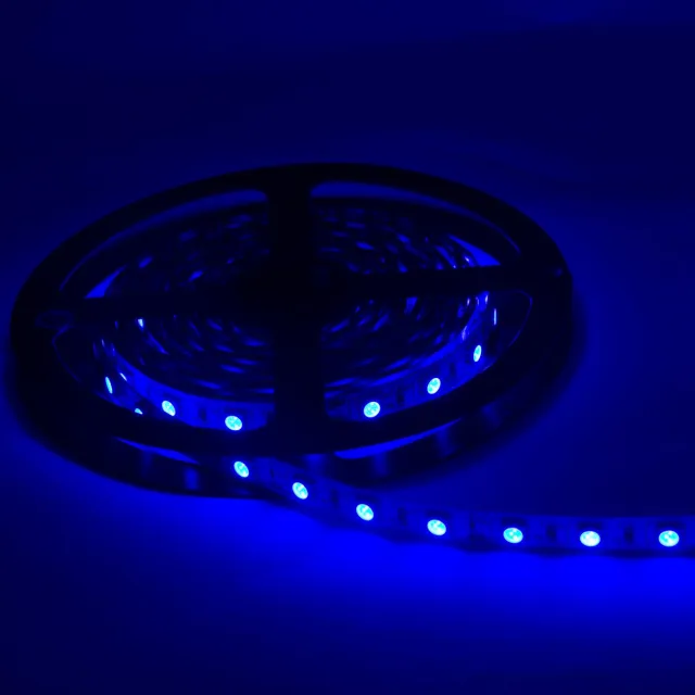 Silumen LED strip 12V 5M BLAUW IP54 SMD 2835 60LED / m