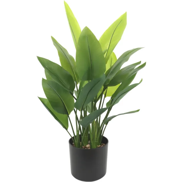 PrettyPlants Strelitzia Kunstplant 70cm | Paradijsvogel kunstplant voor binnen | Kleine kunst Strelitzia Groen